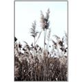 Picture of In the Fields _GroupedProduct_Rectangle_Portrait_Photography _GroupedProduct_Rectangle_Portrait_Canvas_Framed_