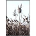 Picture of In the Fields _GroupedProduct_Rectangle_Portrait_Photography _GroupedProduct_Rectangle_Portrait_Canvas_Framed_