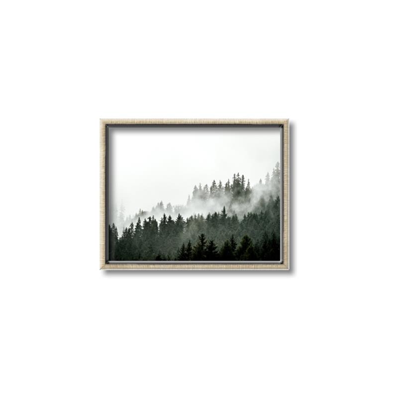 Picture of In the Mist _GroupedProduct_Rectangle_Landscape_Photography _GroupedProduct_Rectangle_Landscape_Canvas_Framed_