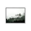 Picture of In the Mist _GroupedProduct_Rectangle_Landscape_Photography _GroupedProduct_Rectangle_Landscape_Canvas_Framed_