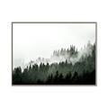 Picture of In the Mist _GroupedProduct_Rectangle_Landscape_Photography _GroupedProduct_Rectangle_Landscape_Canvas_Framed_