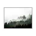 Picture of In the Mist _GroupedProduct_Rectangle_Landscape_Photography _GroupedProduct_Rectangle_Landscape_Canvas_Framed_