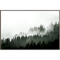Picture of In the Mist _GroupedProduct_Rectangle_Landscape_Photography _GroupedProduct_Rectangle_Landscape_Canvas_Framed_