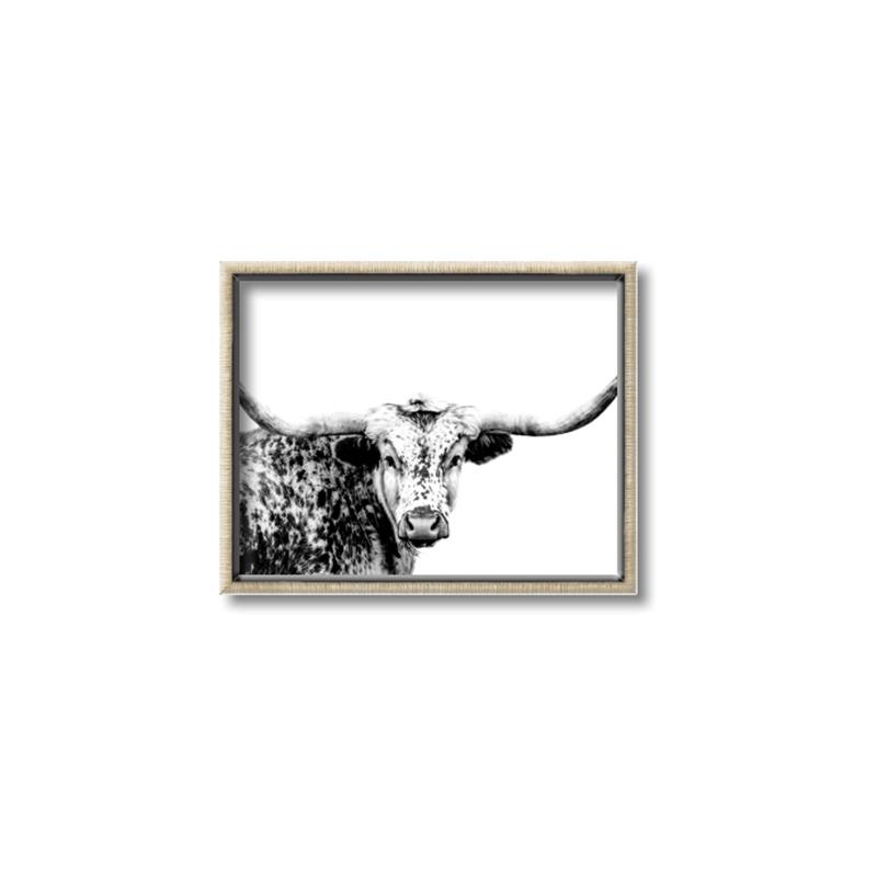 Picture of Jackson, The Bull  _GroupedProduct_Rectangle_Landscape_Photography _GroupedProduct_Rectangle_Landscape_Canvas_Framed_