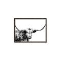 Picture of Jackson, The Bull  _GroupedProduct_Rectangle_Landscape_Photography _GroupedProduct_Rectangle_Landscape_Canvas_Framed_