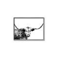 Picture of Jackson, The Bull  _GroupedProduct_Rectangle_Landscape_Photography _GroupedProduct_Rectangle_Landscape_Canvas_Framed_