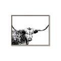 Picture of Jackson, The Bull  _GroupedProduct_Rectangle_Landscape_Photography _GroupedProduct_Rectangle_Landscape_Canvas_Framed_