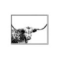 Picture of Jackson, The Bull  _GroupedProduct_Rectangle_Landscape_Photography _GroupedProduct_Rectangle_Landscape_Canvas_Framed_