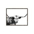 Picture of Jackson, The Bull  _GroupedProduct_Rectangle_Landscape_Photography _GroupedProduct_Rectangle_Landscape_Canvas_Framed_