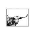 Picture of Jackson, The Bull  _GroupedProduct_Rectangle_Landscape_Photography _GroupedProduct_Rectangle_Landscape_Canvas_Framed_