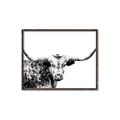 Picture of Jackson, The Bull  _GroupedProduct_Rectangle_Landscape_Photography _GroupedProduct_Rectangle_Landscape_Canvas_Framed_