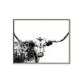 Picture of Jackson, The Bull  _GroupedProduct_Rectangle_Landscape_Photography _GroupedProduct_Rectangle_Landscape_Canvas_Framed_
