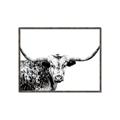 Picture of Jackson, The Bull  _GroupedProduct_Rectangle_Landscape_Photography _GroupedProduct_Rectangle_Landscape_Canvas_Framed_