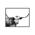Picture of Jackson, The Bull  _GroupedProduct_Rectangle_Landscape_Photography _GroupedProduct_Rectangle_Landscape_Canvas_Framed_