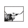 Picture of Jackson, The Bull  _GroupedProduct_Rectangle_Landscape_Photography _GroupedProduct_Rectangle_Landscape_Canvas_Framed_