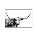Picture of Jackson, The Bull  _GroupedProduct_Rectangle_Landscape_Photography _GroupedProduct_Rectangle_Landscape_Canvas_Framed_