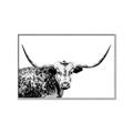 Picture of Jackson, The Bull  _GroupedProduct_Rectangle_Landscape_Photography _GroupedProduct_Rectangle_Landscape_Canvas_Framed_