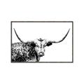 Picture of Jackson, The Bull  _GroupedProduct_Rectangle_Landscape_Photography _GroupedProduct_Rectangle_Landscape_Canvas_Framed_