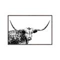 Picture of Jackson, The Bull  _GroupedProduct_Rectangle_Landscape_Photography _GroupedProduct_Rectangle_Landscape_Canvas_Framed_