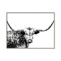 Picture of Jackson, The Bull  _GroupedProduct_Rectangle_Landscape_Photography _GroupedProduct_Rectangle_Landscape_Canvas_Framed_