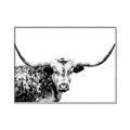 Picture of Jackson, The Bull  _GroupedProduct_Rectangle_Landscape_Photography _GroupedProduct_Rectangle_Landscape_Canvas_Framed_
