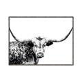 Picture of Jackson, The Bull  _GroupedProduct_Rectangle_Landscape_Photography _GroupedProduct_Rectangle_Landscape_Canvas_Framed_