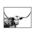 Picture of Jackson, The Bull  _GroupedProduct_Rectangle_Landscape_Photography _GroupedProduct_Rectangle_Landscape_Canvas_Framed_