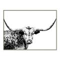 Picture of Jackson, The Bull  _GroupedProduct_Rectangle_Landscape_Photography _GroupedProduct_Rectangle_Landscape_Canvas_Framed_