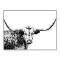 Picture of Jackson, The Bull  _GroupedProduct_Rectangle_Landscape_Photography _GroupedProduct_Rectangle_Landscape_Canvas_Framed_