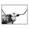 Picture of Jackson, The Bull  _GroupedProduct_Rectangle_Landscape_Photography _GroupedProduct_Rectangle_Landscape_Canvas_Framed_