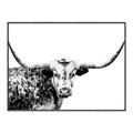 Picture of Jackson, The Bull  _GroupedProduct_Rectangle_Landscape_Photography _GroupedProduct_Rectangle_Landscape_Canvas_Framed_