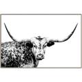 Picture of Jackson, The Bull  _GroupedProduct_Rectangle_Landscape_Photography _GroupedProduct_Rectangle_Landscape_Canvas_Framed_