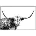 Picture of Jackson, The Bull  _GroupedProduct_Rectangle_Landscape_Photography _GroupedProduct_Rectangle_Landscape_Canvas_Framed_