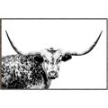 Picture of Jackson, The Bull  _GroupedProduct_Rectangle_Landscape_Photography _GroupedProduct_Rectangle_Landscape_Canvas_Framed_