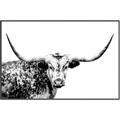 Picture of Jackson, The Bull  _GroupedProduct_Rectangle_Landscape_Photography _GroupedProduct_Rectangle_Landscape_Canvas_Framed_