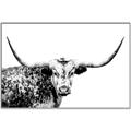 Picture of Jackson, The Bull  _GroupedProduct_Rectangle_Landscape_Photography _GroupedProduct_Rectangle_Landscape_Canvas_Framed_