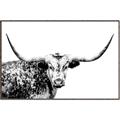 Picture of Jackson, The Bull  _GroupedProduct_Rectangle_Landscape_Photography _GroupedProduct_Rectangle_Landscape_Canvas_Framed_