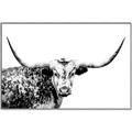 Picture of Jackson, The Bull  _GroupedProduct_Rectangle_Landscape_Photography _GroupedProduct_Rectangle_Landscape_Canvas_Framed_