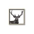 Picture of James, the Stag  _GroupedProduct_Square_Photography _GroupedProduct_Square_Canvas_Framed_