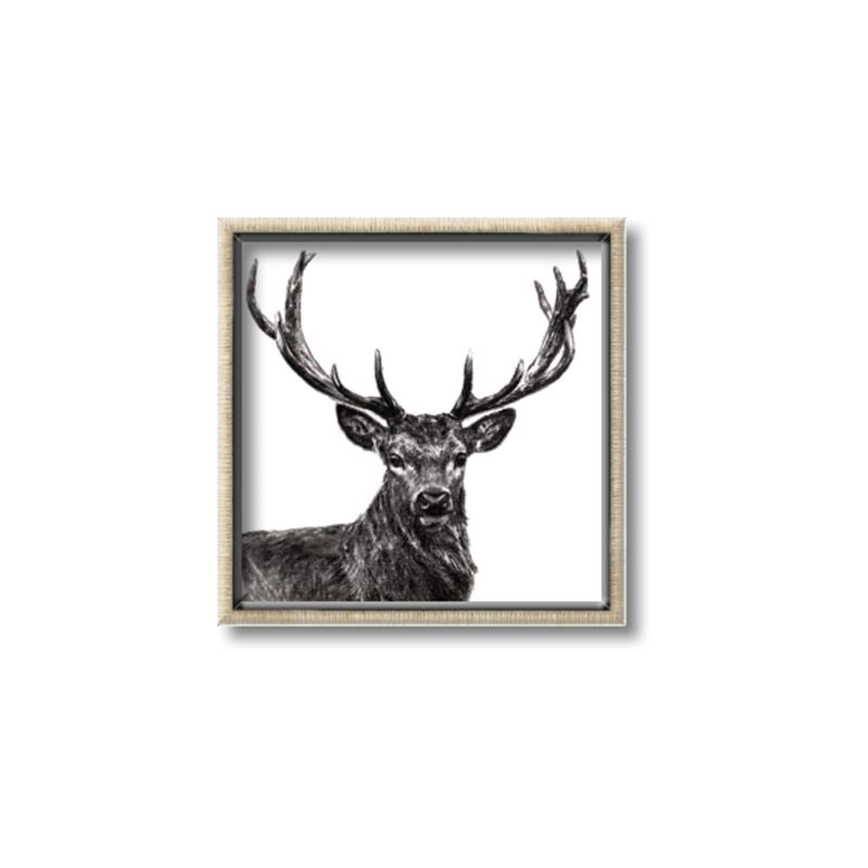 Picture of James, the Stag  _GroupedProduct_Square_Photography _GroupedProduct_Square_Canvas_Framed_