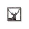 Picture of James, the Stag  _GroupedProduct_Square_Photography _GroupedProduct_Square_Canvas_Framed_