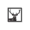 Picture of James, the Stag  _GroupedProduct_Square_Photography _GroupedProduct_Square_Canvas_Framed_