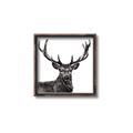 Picture of James, the Stag  _GroupedProduct_Square_Photography _GroupedProduct_Square_Canvas_Framed_