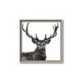 Picture of James, the Stag  _GroupedProduct_Square_Photography _GroupedProduct_Square_Canvas_Framed_
