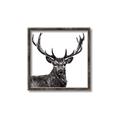 Picture of James, the Stag  _GroupedProduct_Square_Photography _GroupedProduct_Square_Canvas_Framed_