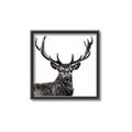 Picture of James, the Stag  _GroupedProduct_Square_Photography _GroupedProduct_Square_Canvas_Framed_