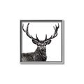 Picture of James, the Stag  _GroupedProduct_Square_Photography _GroupedProduct_Square_Canvas_Framed_