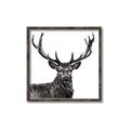 Picture of James, the Stag  _GroupedProduct_Square_Photography _GroupedProduct_Square_Canvas_Framed_