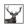 Picture of James, the Stag  _GroupedProduct_Square_Photography _GroupedProduct_Square_Canvas_Framed_