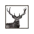 Picture of James, the Stag  _GroupedProduct_Square_Photography _GroupedProduct_Square_Canvas_Framed_